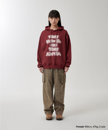 AIN'T US BLUR HOODIE